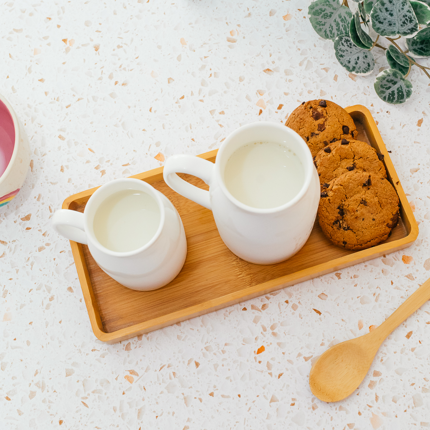 Milk Jug for Santa